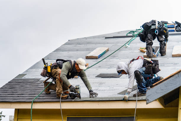 Professional Emergency Roof Repair technician working in Delavan, IL